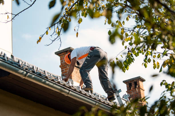 Quick and Trustworthy Emergency Roof Repair Services in Thompson, ND