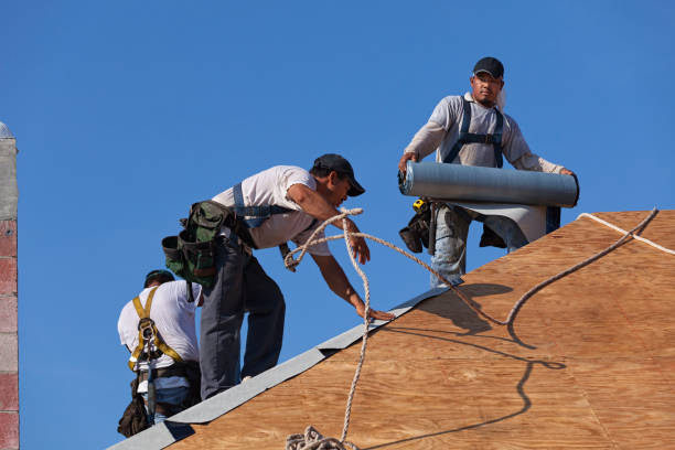 Best Commercial Roofing Services  in Thompson, ND