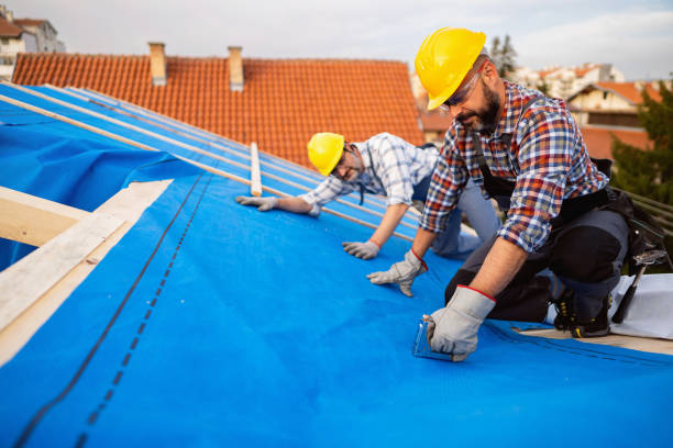 Best Metal Roofing Contractor  in Thompson, ND