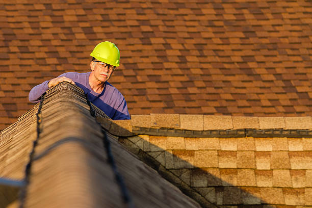 Best Shingle Roofing Installation  in Thompson, ND