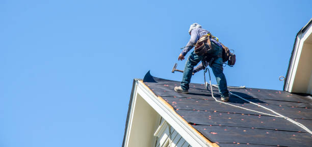 Best Roof Repair Services  in Thompson, ND